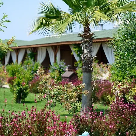 Flora Garden - Couples Concept - Adults Over 16 Only 5*